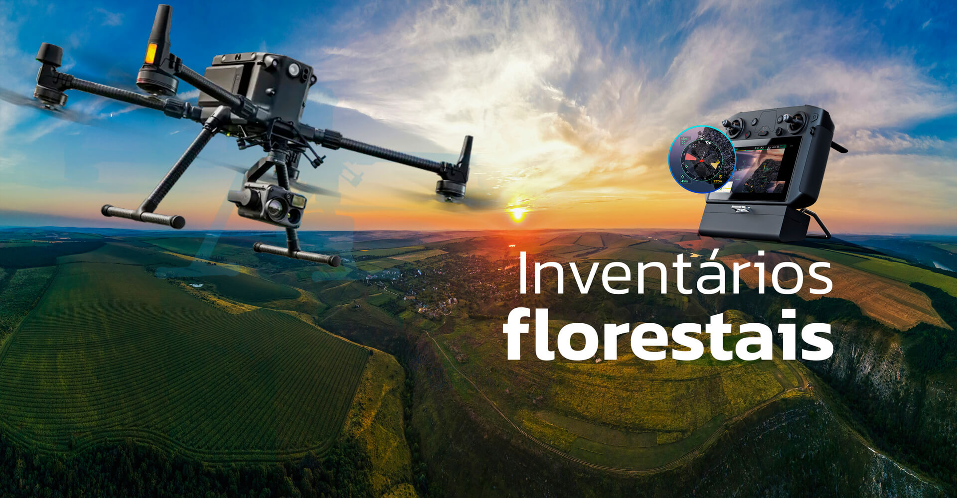 Inventários florestais (1)